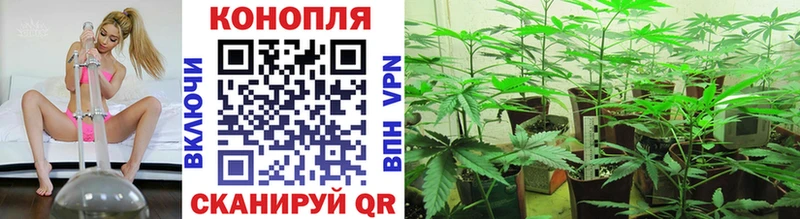 Купить  Кремёнки  Конопля план 